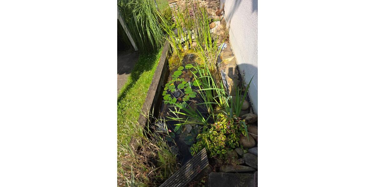 Mehrfamilienhaus, Wohnhaus Köln Mülheim - 595.000&euro; | Angebot:26222136