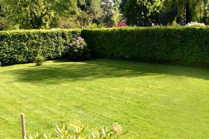 Wohnung Wuppertal Gemarkung Barmen - 2 Zimmer, 43 m&sup2;, 460&euro; | Angebot:26264813