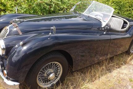 Jaguar XK 16.642 km 89.850 &euro; Mettmann 40822