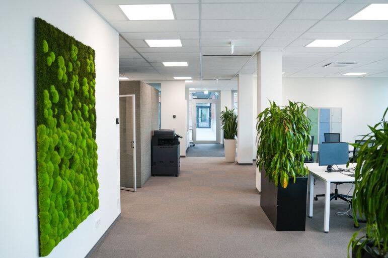 Gewerbeobjekt Frechen Hücheln - 199&euro; | Angebot:26248653