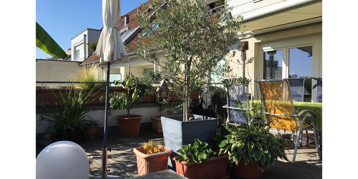 Terrassenwohnung Düsseldorf Pempelfort - 2 Zimmer, 74 m&sup2;, 558.000&euro; | Angebot:26263057