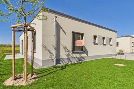 Haus Köln / Elsdorf Elsdorf - 4 Zimmer, 135 m&sup2;, 785.000&euro; | Angebot:25476254