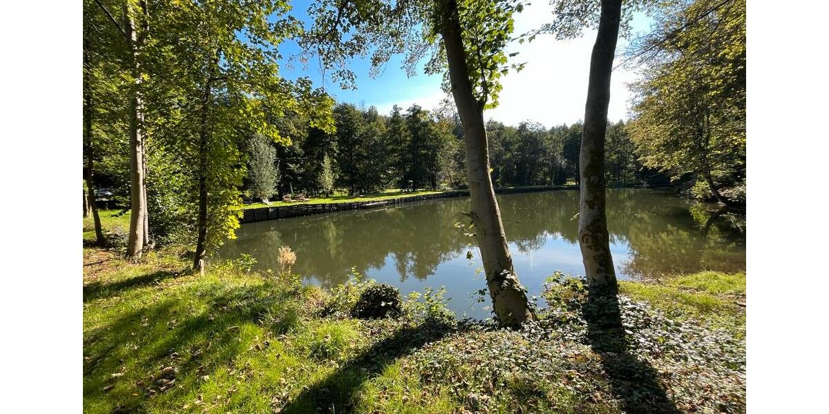 Maisonettenwohnung Wermelskirchen - 1 Zimmer, 50 m&sup2;, 700&euro; | Angebot:25416058