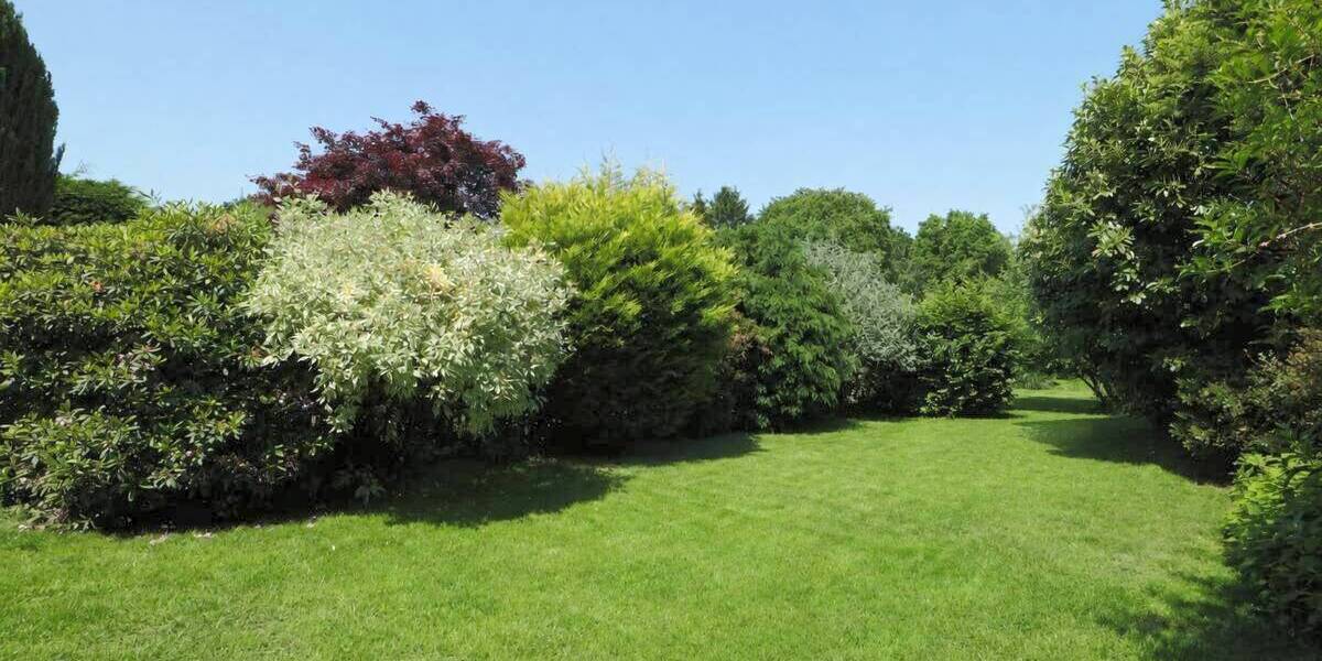 Doppelhaushälfte Dormagen / Straberg Straberg - 5 Zimmer, 165 m&sup2;, 1.800&euro; | Angebot:26826375