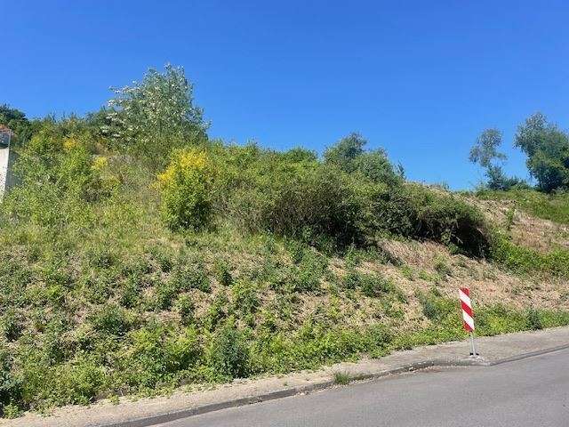 Grundstück Bergisch Gladbach Paffrath - 590.000&euro; | Angebot:27357316