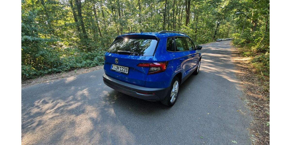 Skoda Karoq 100.999 km 16.500 &euro; Köln 51061