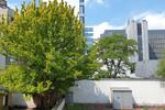 Etagenwohnung Düsseldorf Stadtbezirk 3 - 1 Zimmer, 48 m&sup2;, 199.000&euro; | Angebot:26705264